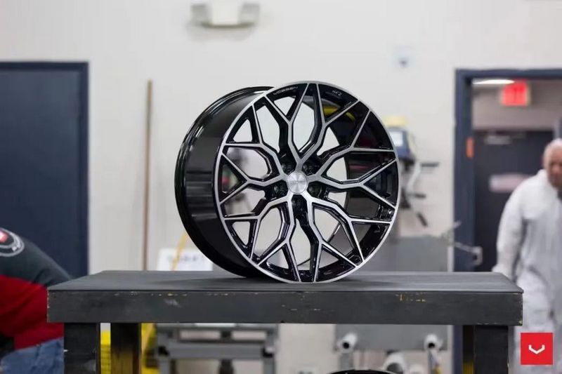 VOSSEN 2.jpg